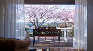 満開間近！河津桜プランをご紹介