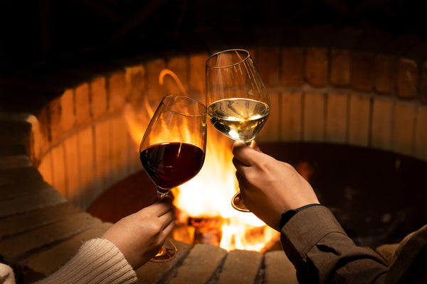 焚火を囲みワインで乾杯する男女
